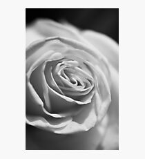 MIFGS - rose Photographic Print