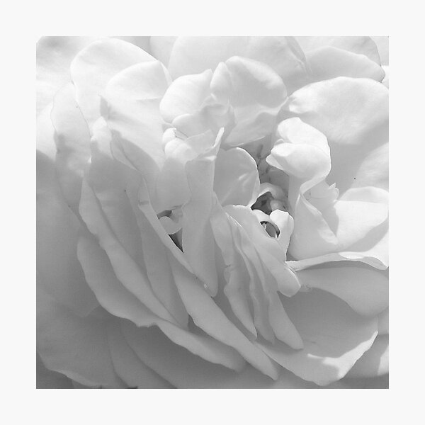 Blanche épure 6 Photographic Print