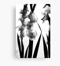 MIFGS - gladioli Canvas Print