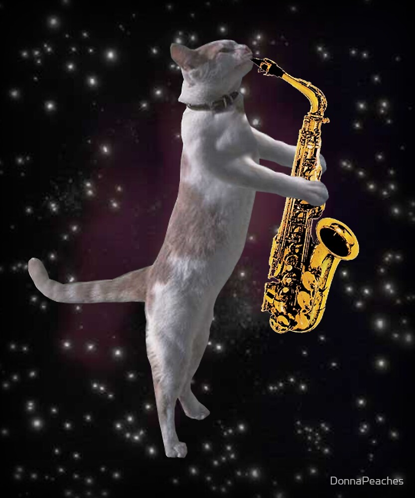 "Cat Playing Saxophone in Space Funny Cats in Space" by DonnaPeaches Redbubble