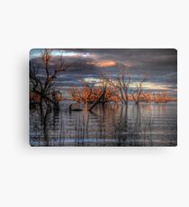 Lake Pamamaroo Metal Print