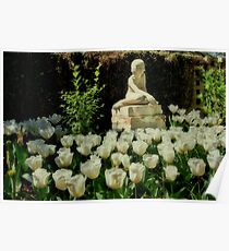 Blushing Tulips Poster