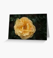 Beauty, one layer at a time Greeting Card