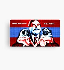 Grab a Broom it's a mess Canvas Print