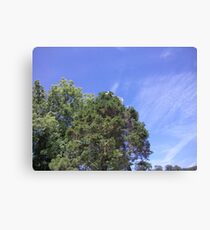 white cap Canvas Print