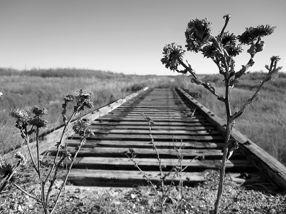 Tracks black