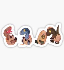 Raptor posse Sticker