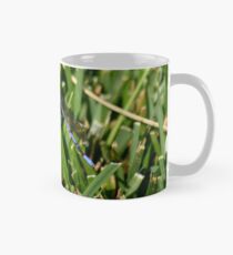 Dragonfly on grass at Gibbs Garden Mug