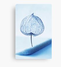 heart Canvas Print