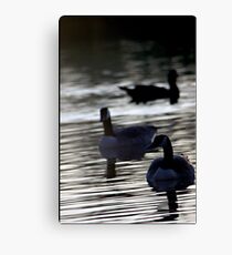 Sunlit Ripples Canvas Print