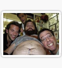 Kater Selfie Sticker