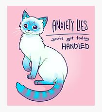 Lámina fotográfica LA ANSIEDAD MIENTE El gato siamés de Magic Lynx Point
