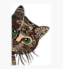 Lámina fotográfica MANDALA CAT 5