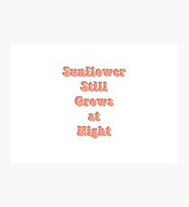 Sunflower Rex Orange County Photographic Print