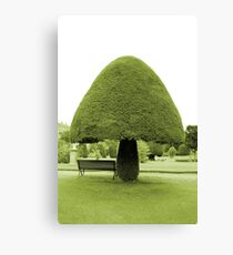 Topiary Canvas Print