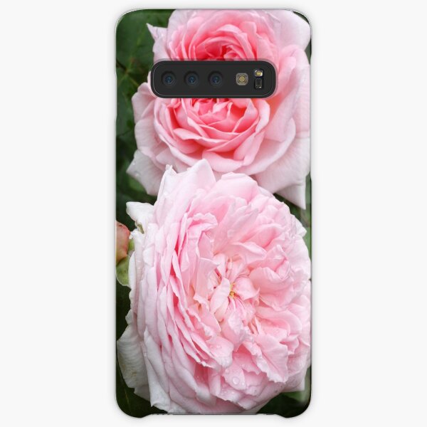 English Rose - Eglantyne Samsung Galaxy Snap Case