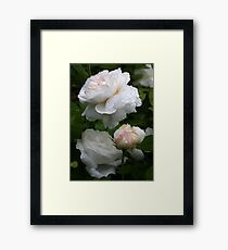 Englisch Rose Winchester Kathedrale Gerahmtes Wandbild