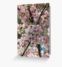 Prunis Elvins Greeting Card