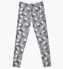African Grey Parrots Leggings