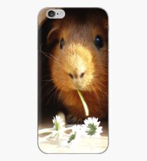 Super cute guinea pig eating iPhone Case