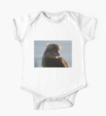 Body de manga corta para bebé Kookaburra junto al mar - Isla Moreton
