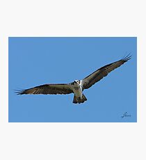 Tip 2 Tip Photographic Print
