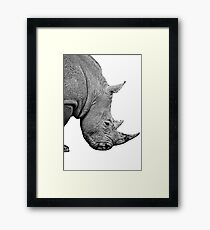 Rhinoceros on white background Framed Print