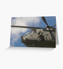 sea king Greeting Card