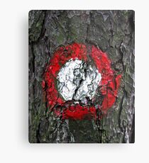 Marker Metal Print