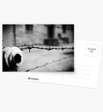 Krakow Postcards