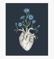 Blumenherz: Menschliche Anatomie Cornflower Flower Halloween Gift Fotodruck