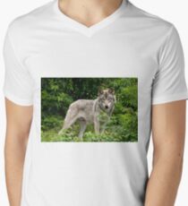 Enchanted Forest Men's V-Neck T-Shirt