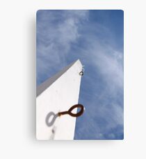 Desolate Pole.... Canvas Print