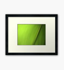 Green Framed Print