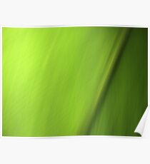 Green Poster