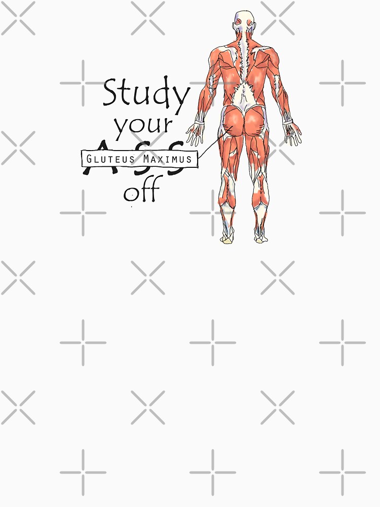 Study your Gluteus Maximus Off by maryhop