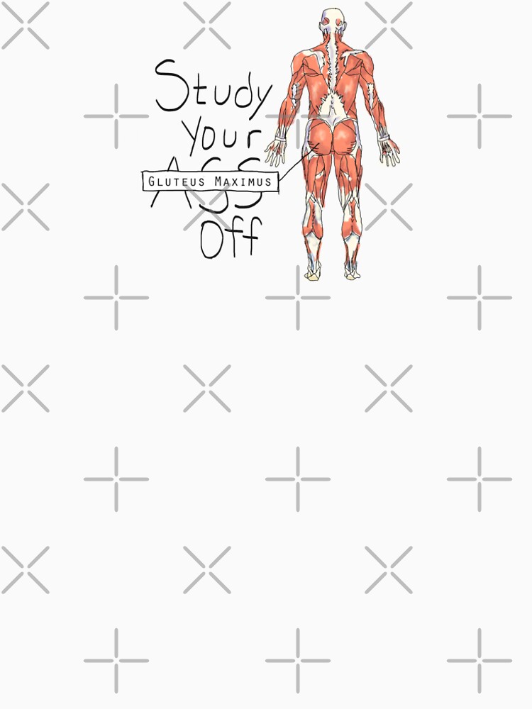 Study your Gluteus Maximus Off by maryhop