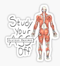 Pegatina Estudia tu Gluteus Maximus Off