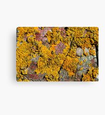 Western Isles Textures Canvas Print