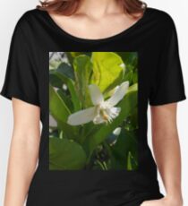Orange Blossom Women's Relaxed Fit T-Shirt