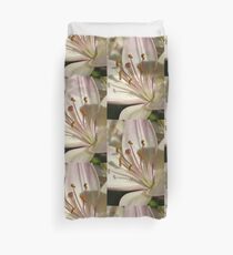 Marlene - Asiatic lily Bettbezug