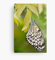 Paper Kite Butterfly Metal Print