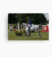 Harmony Canvas Print