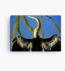 Dart Canvas Print