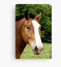Love is ....... Canvas Print