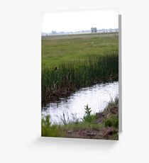 irrigation Greeting Card