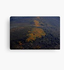 Turning of the Fagus Canvas Print