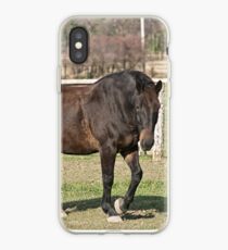 Ringo - Silver Creek Ranch, Ottawa, Ont iPhone Case