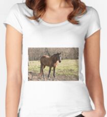 One Fine Lady- Silver Creek Ranch, Ottawa, Ont Women's Fitted Scoop T-Shirt