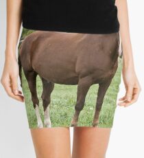 Donner - Silver Creek Ranch, Ottawa, Ont Mini Skirt